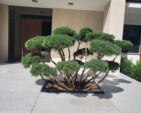 realizacja-2025-2-03