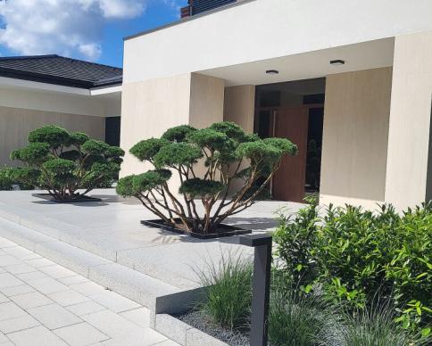 realizacja-2025-2-04