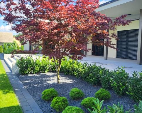 realizacja-2025-2-11