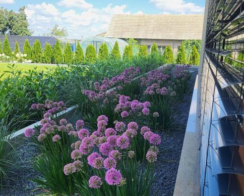 realizacja-2025-2-12