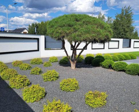 realizacja-2020-2-02